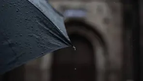 Tamil Nadu Weather Report: Heavy Rain At Tirupur, Theni and Dindigul