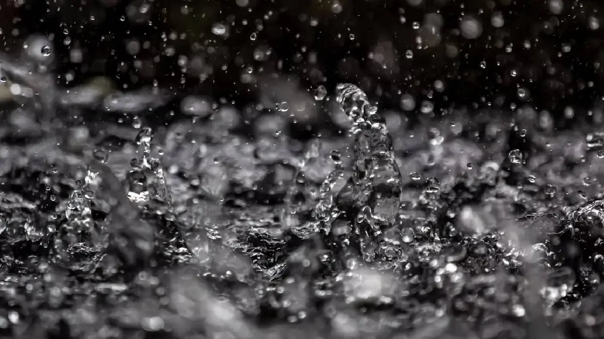 Tamil Nadu Weather Report: Heavy Rain Warning For 15 Districts