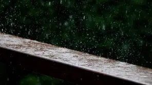 Tamil Nadu Weather Report: Heavy Rain Will Continue Till October 14