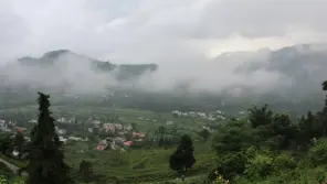 Tamil Nadu Weather Report: Orange Alert To Three Districts