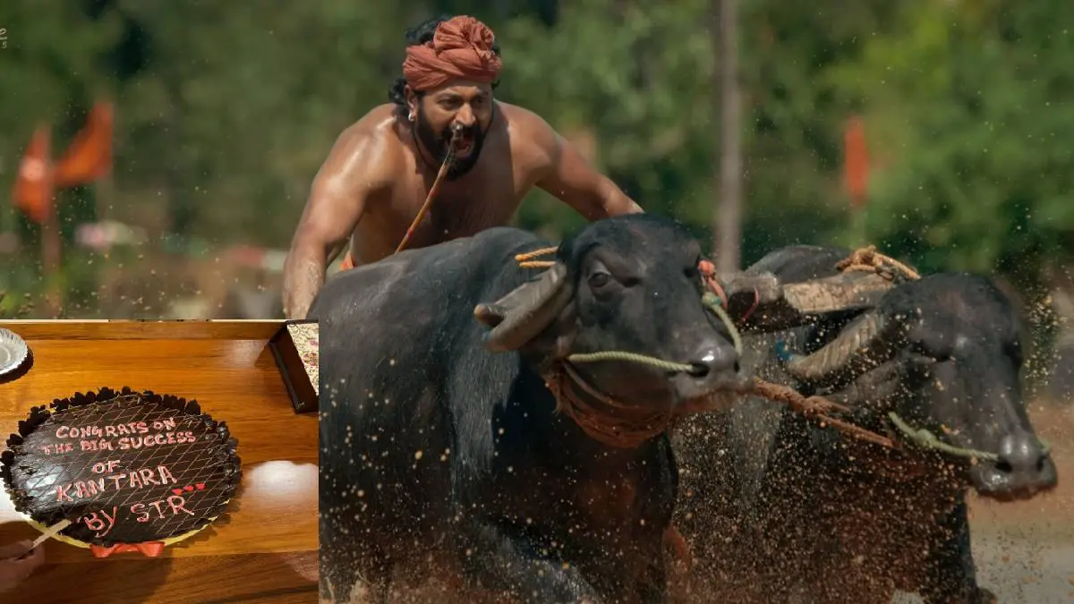 Kantara Movie Success: Actor Silambarasan Send A Cake Praising Team