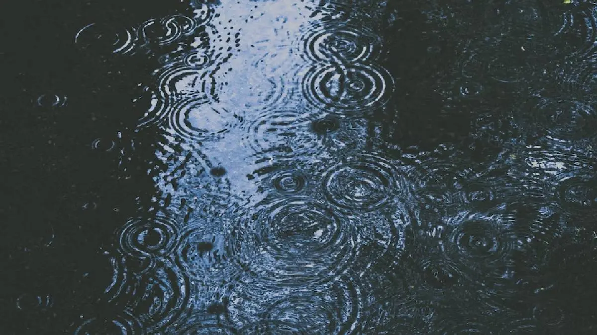 Weather Report: Rain Predicted In Tamil Nadu, Puducherry and Karaikal