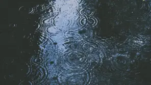 Weather Report: Rain Predicted In Tamil Nadu, Puducherry and Karaikal