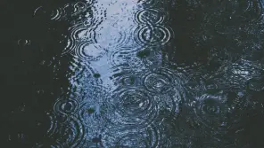 Tamil Nadu Weather: Heavy rain Will Occur In 32 Districts Today