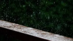 TN Weather Report: Rain Warning To 7 Districts Till November 11