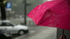 Chennai Rains: 9 Districts Declared Holiday For Schools In Tamil Nadu