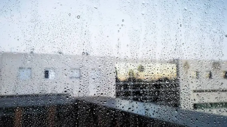 Tamil Nadu Weather: Chance For Rain For Next Four Days