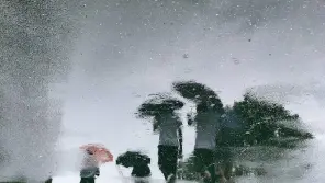 Tamil Nadu Weather: Heavy Rain For Next Two Days In Six Districts