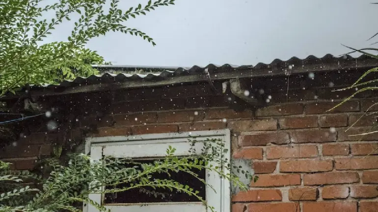 Tamil Nadu Weather Report: Rain Warning To 10 Districts