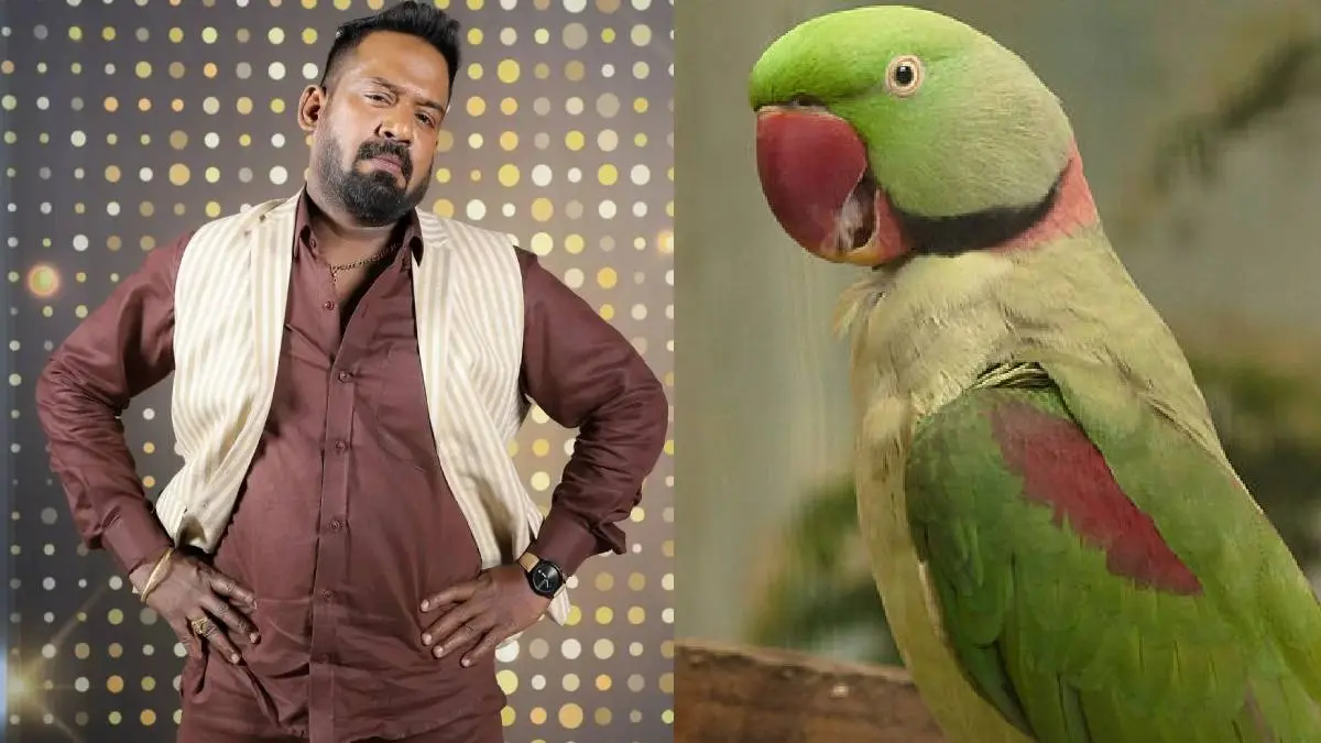 Robo Shankar Fined Lakhs For Keeping Alexandrine parakeet At Home