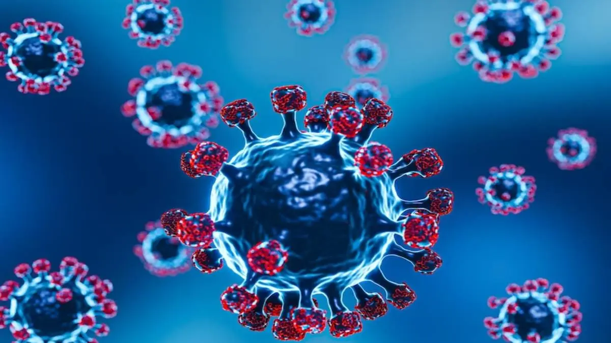 Coronavirus: 27 Years Old Died Due To Covid In Trichy