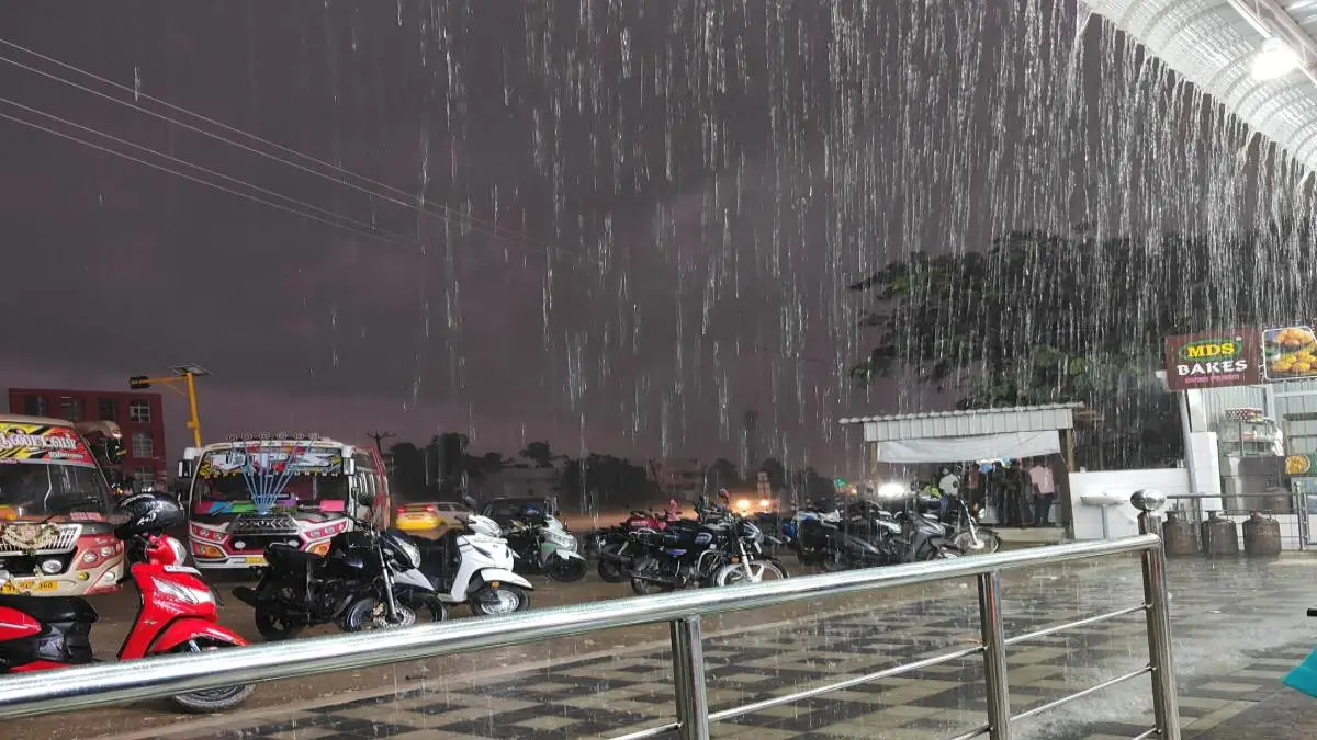 Tamil Nadu Weather Report: Possibility Of Heavy Rain In 8 Districts