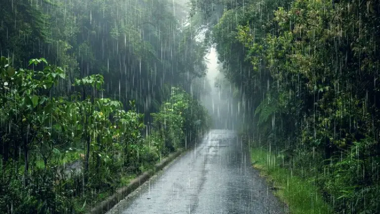Tamil Nadu Weather Report: Chances Of Heavy Rain In 9 Districts