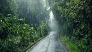 Tamil Nadu Weather Report: Chances Of Heavy Rain In 9 Districts