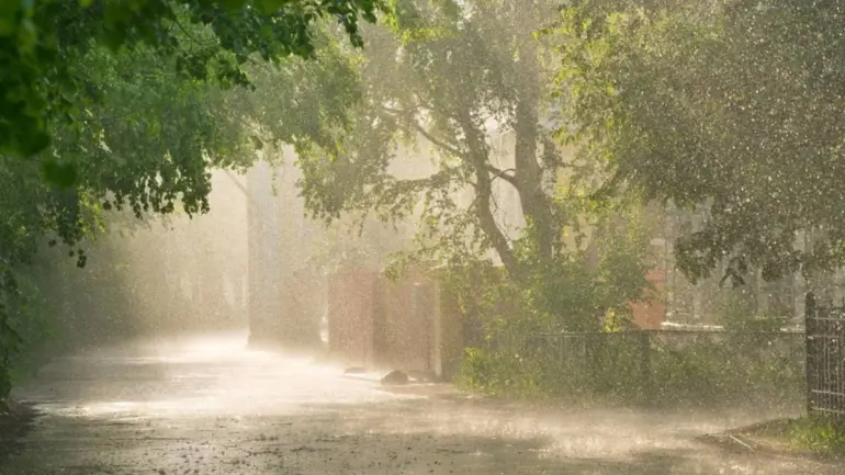 Tamil Nadu Weather: Heavy Rain Warning For Next 6 Days