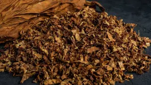 Coimbatore City Police Introduced QR Code To Tobacco Prohibition