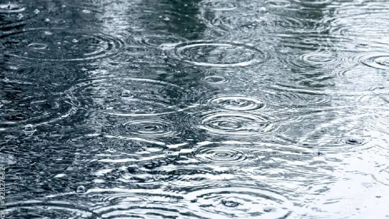 Tamil Nadu Weather Report: Heavy Rain In Chennai And Other Districts