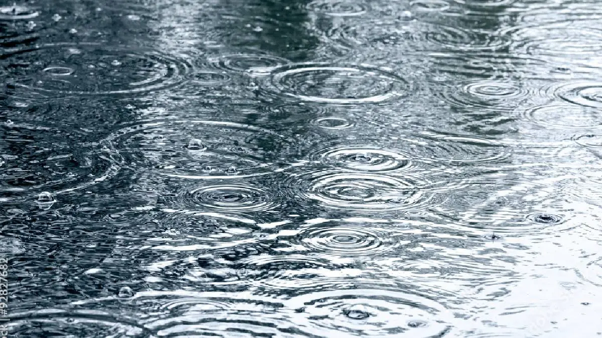 Tamil Nadu Weather Report: Heavy Rain In Chennai And Other Districts