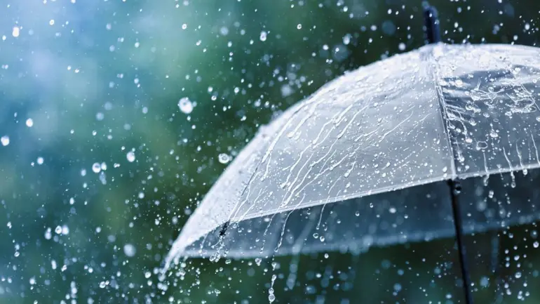Tamil Nadu Weather Report: Heavy Rain Expected in 17 Districts