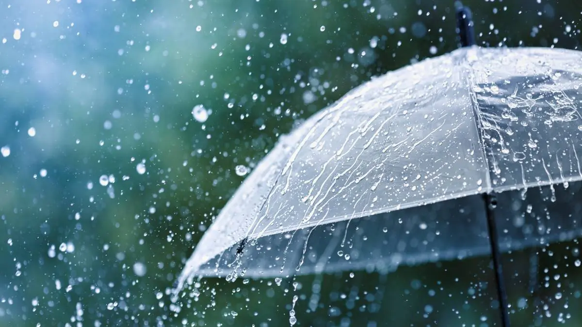 Tamil Nadu Weather Report: Heavy Rain Expected in 17 Districts