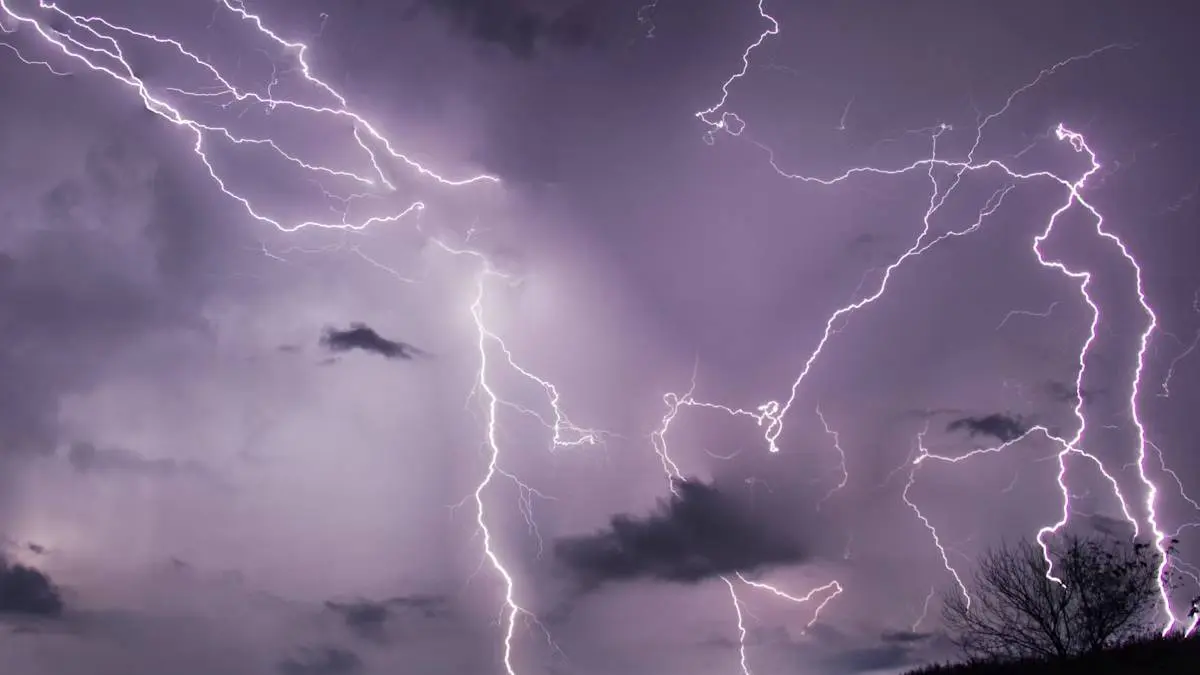 Tamil Nadu Weather Report: Possibility Of Rain In 5 Districts