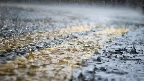 TN Weather Report: Heavy Rain Expected In Chennai And Other Districts