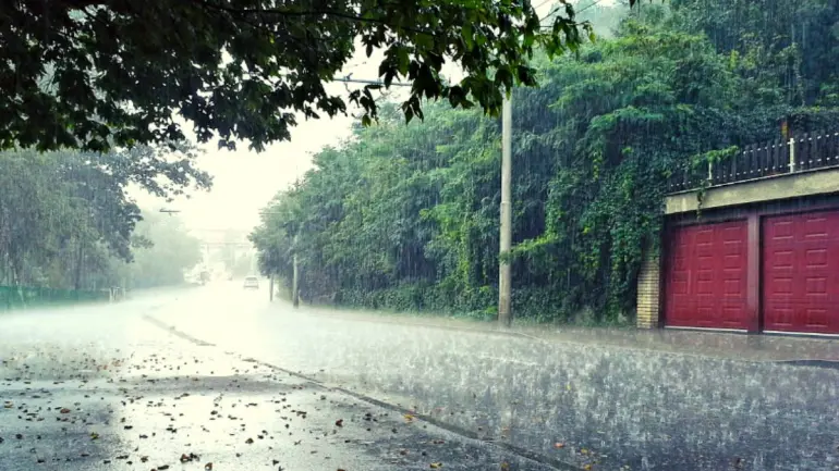 Tamil Nadu Weather: Heavy Rain Till December 4 in Six Districts