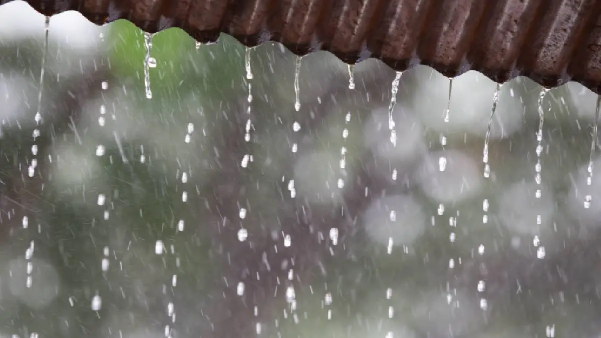 Chennai Rains: Heavy Rain Expected Across TN From December 3