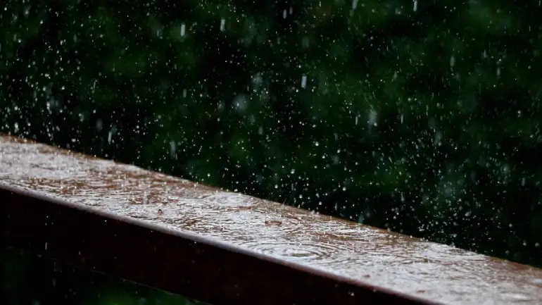 Chennai Rains: Red Alert Issued Due To Cyclone Michaung