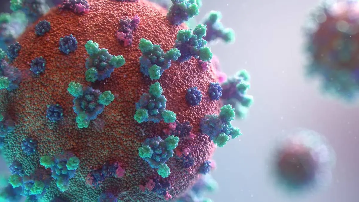 Coronavirus: Covid 19 Increases In Kerala With 949 Positive Cases