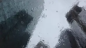 Rain Expected In Coimbatore And Other Districts Till Dec 11