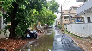 Tamil Nadu Weather: Heavy Rain For Next 3 Days In 12 Districts