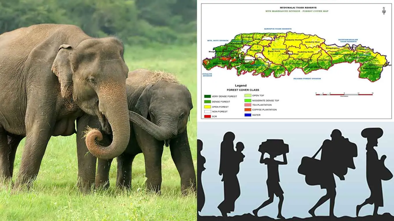 Do TN Forest Dept Balancing Villagers And Elephant Corridor?