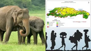 Do TN Forest Dept Balancing Villagers And Elephant Corridor?