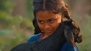 Bujji At Anupatti Tamil Movie Review: A Good Watch For Children