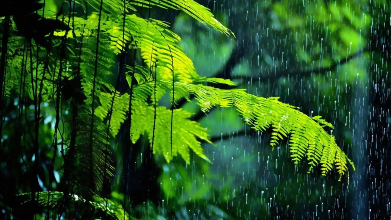Kerala Weather Report: Heavy Monsoon Rain To Extend Till June 2
