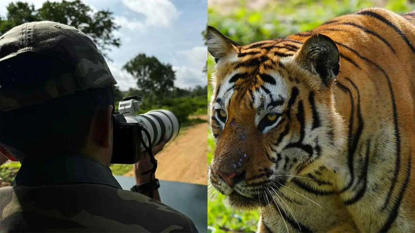Who Is Dev? A 12-Year-Old Wildlife Photographer From Madurai