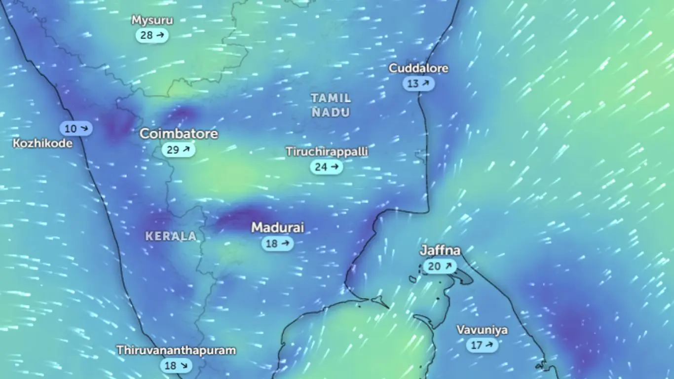 TN Weather Report: Rain In Eight Districts Including Coimbatore