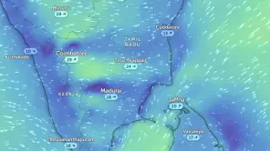 TN Weather Report: Rain In Eight Districts Including Coimbatore