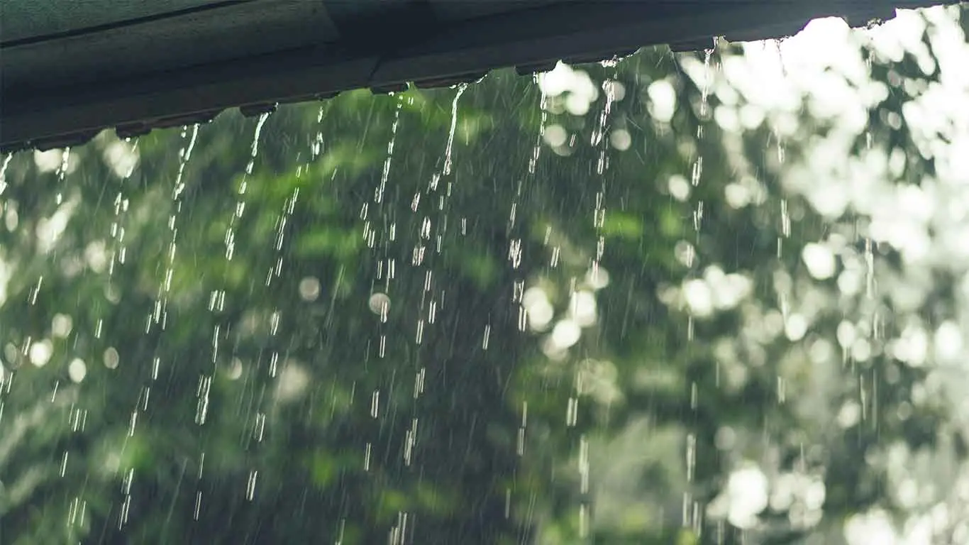 TN Weather Report: Heavy Rainfall In 5 Districts Today