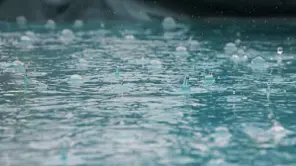 TN Weather Report: Heavy Rain Expected In 5 Districts