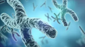 Y Chromosome Shrinking: Is A World Without Men Possible?