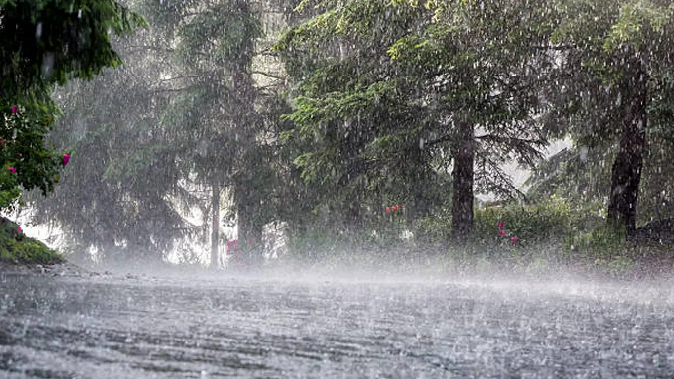 TN Weather Report: 10 Districts Under Heavy Rainfall Alert