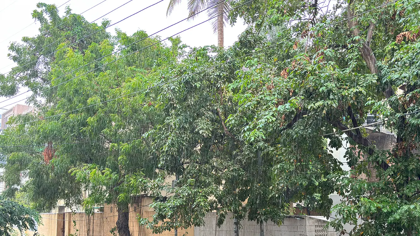 Chennai Braces for Northeast Monsoon, Preventive Measure Starts