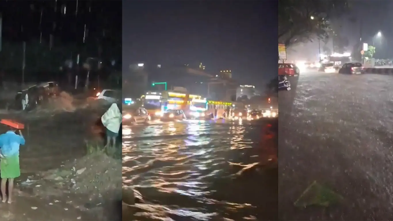 TN Weather: Coimbatore and 10 Districts On Heavy Rainfall Alert