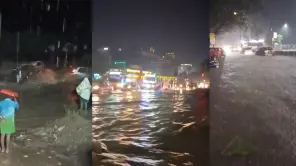 TN Weather: Coimbatore and 10 Districts On Heavy Rainfall Alert