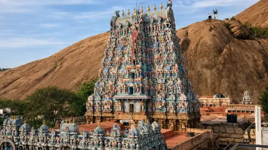 HC Permits Lighting of Karthigai Deepam at Thirupparankundram Deepathoon