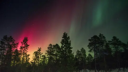 Will Northern Lights be Visible From Parts of India today? Check the Spots