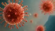 Chandipura virus