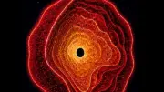 Black Hole star